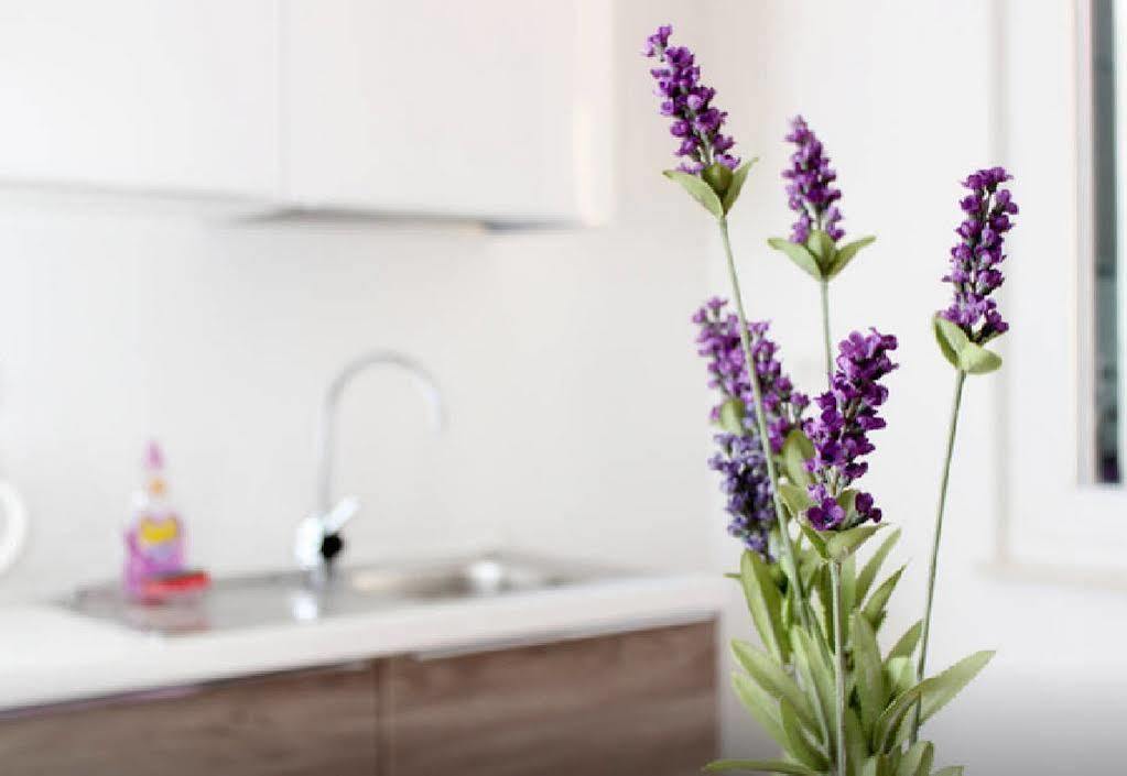 Apartment Lavanda Split Exteriér fotografie