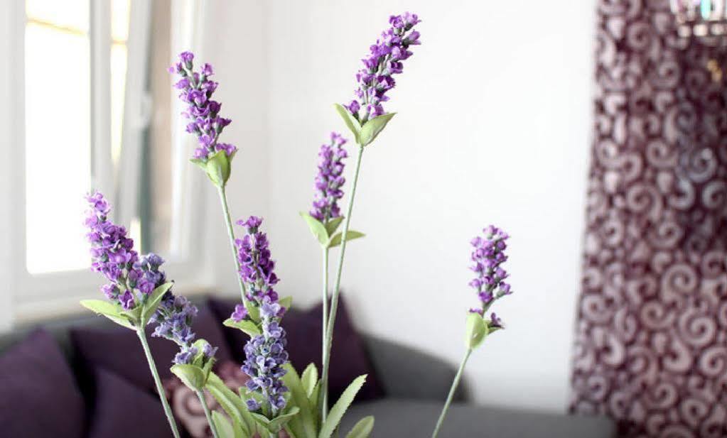 Apartment Lavanda Split Exteriér fotografie